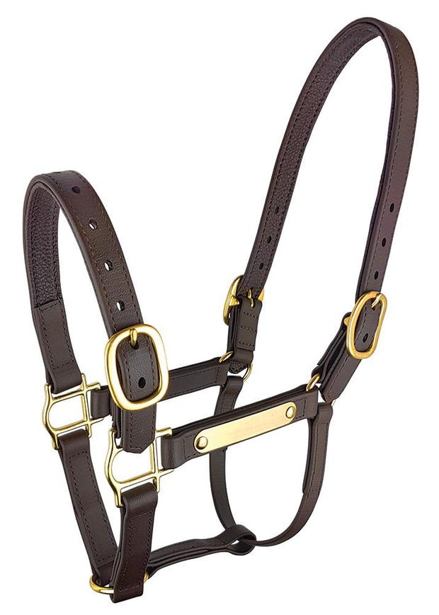 Zilco Headcollar Cob Epsom PN Deluxe Halter