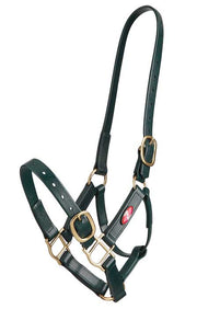 Zilco Headcollar Cob / Green Zilco PN Headcollar 25mm