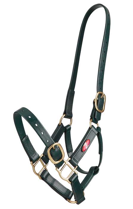 Zilco Headcollar Cob / Green Zilco PN Headcollar 25mm