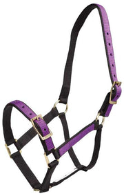 Zilco Headcollar Cob / Lavender/Black Zilco "Overlay" Headcollar