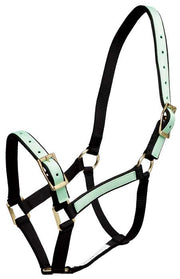 Zilco Headcollar Cob / Pastel Green/Black Zilco "Overlay" Headcollar