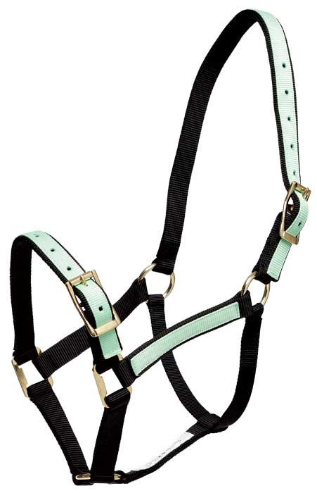 Zilco Headcollar Cob / Pastel Green/Black Zilco "Overlay" Headcollar