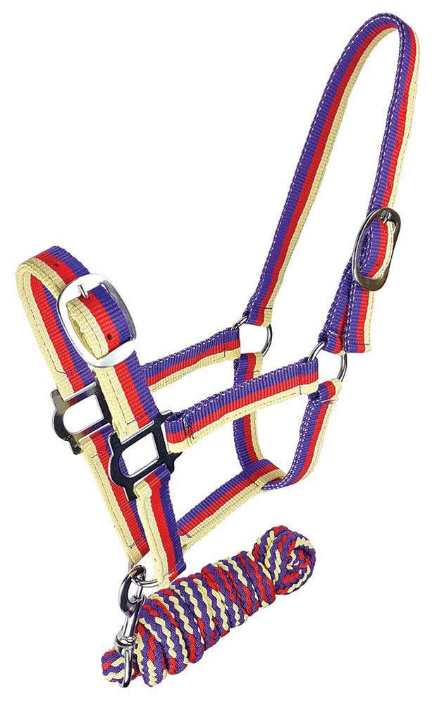 Zilco Headcollar & Lead Cob / Purple/Red/Cream Brite Headcollar and Lead Rope