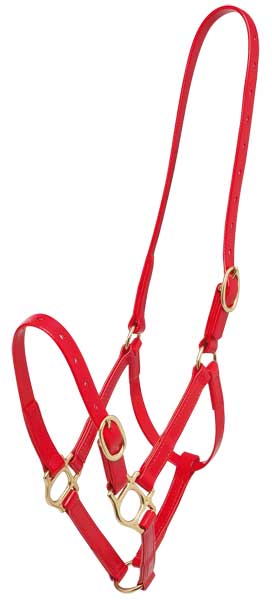 Zilco Headcollar Cob / Red Zilco PN Headcollar 19mm