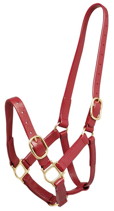 Zilco Headcollar Cob / Red Zilco PN Headcollar 25mm