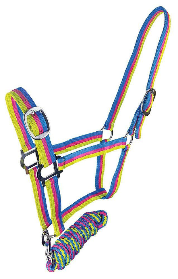 Zilco Headcollar & Lead Cob / Royal/Pink/Lime Brite Headcollar and Lead Rope