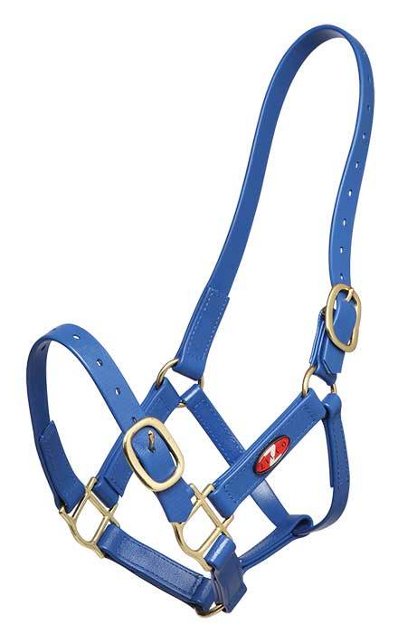 Zilco Headcollar Cob / Royal Zilco PN Headcollar 25mm