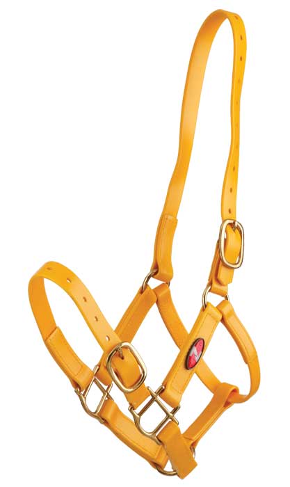 Zilco Headcollar Cob / Yellow Zilco PN Headcollar 25mm