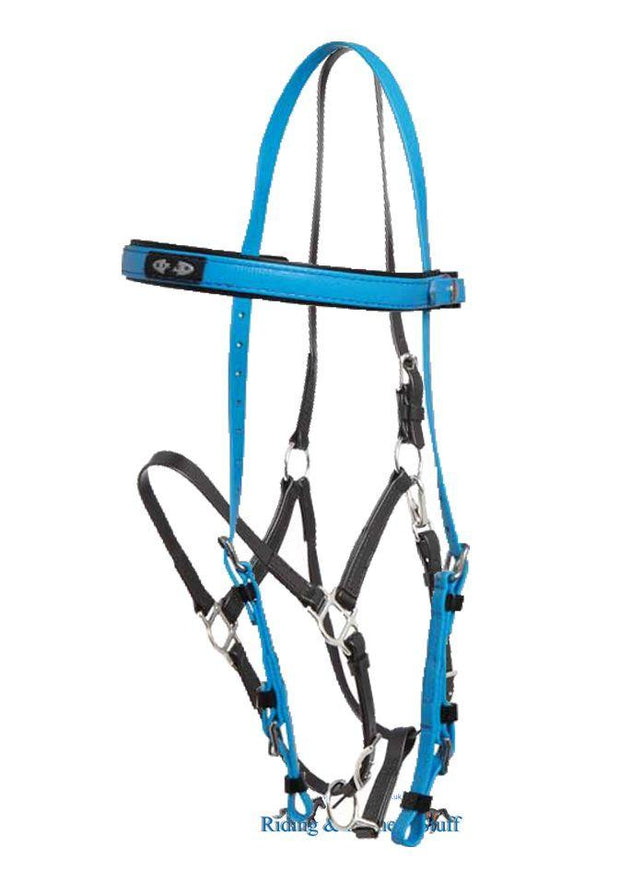 Zilco Cyan / Black Zilco Deluxe Endurance Bridle Complete - Arab