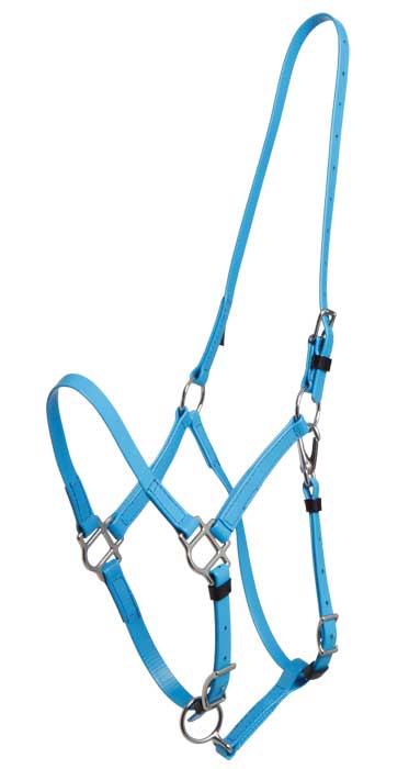 Zilco Bridle Cyan Blue Zilco Deluxe Endurance Bridle 2 Part Stainless Steel Fitting - Halter Part