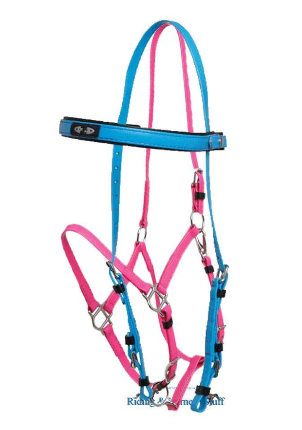 Zilco Cyan / Cerise Zilco Deluxe Endurance Bridle Complete - Arab