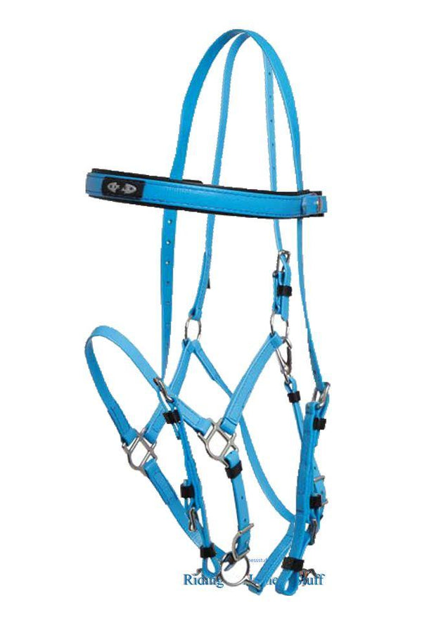 Zilco Cyan / Cyan Zilco Deluxe Endurance Bridle Complete - Arab