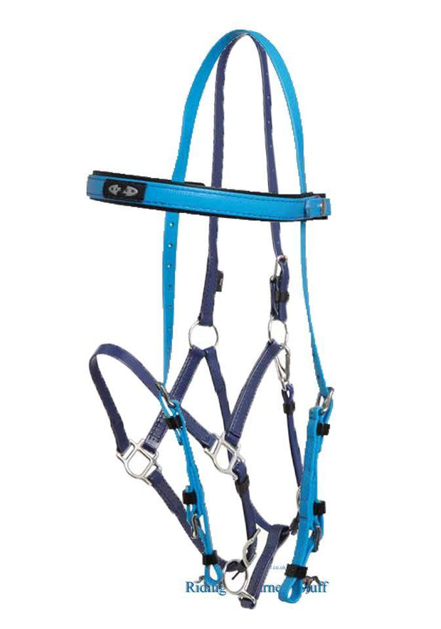 Zilco Cyan / Dark Blue Zilco Deluxe Endurance Bridle Complete - Arab