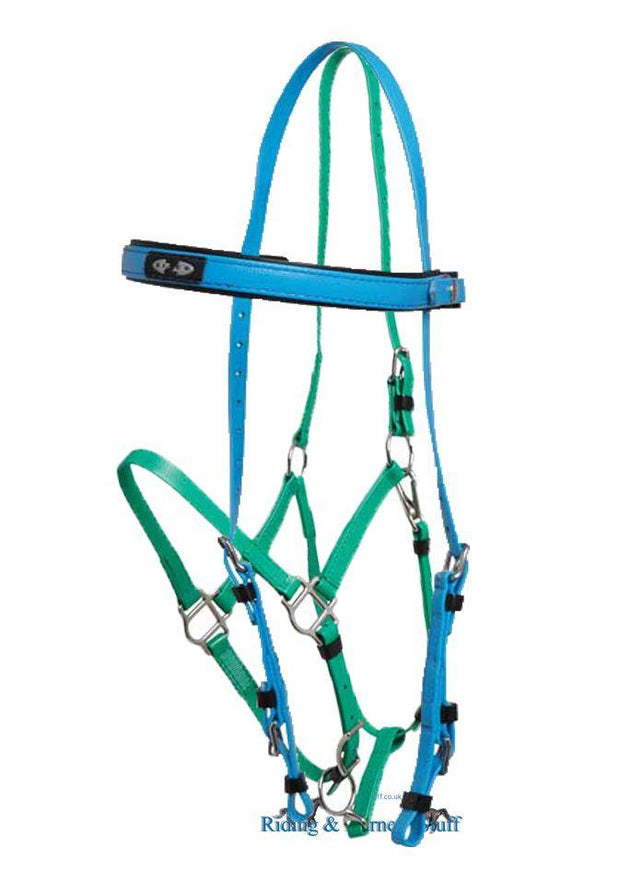 Zilco Cyan / Light Green Zilco Deluxe Endurance Bridle Complete - Arab