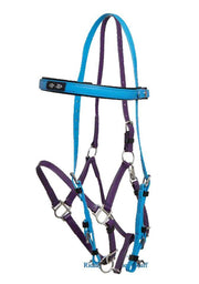 Zilco Cyan / Purple Zilco Deluxe Endurance Bridle Complete - Arab