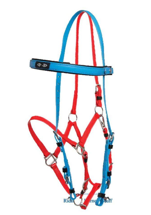 Zilco Cyan / Red Zilco Deluxe Endurance Bridle Complete - Arab