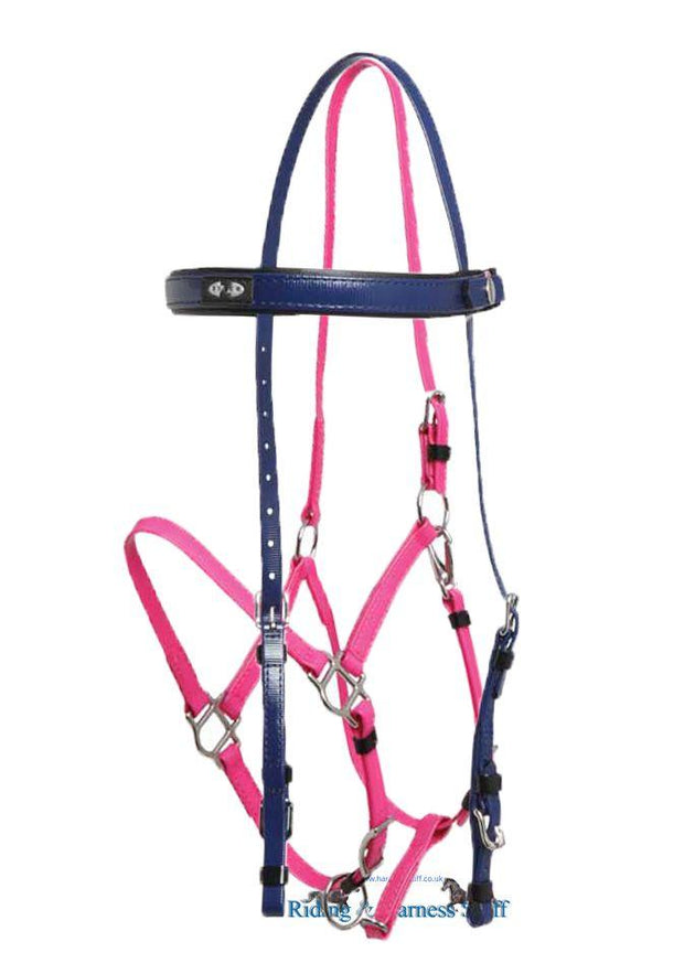 Zilco Dark Blue / Cerise Zilco Deluxe Endurance Bridle Complete - Arab