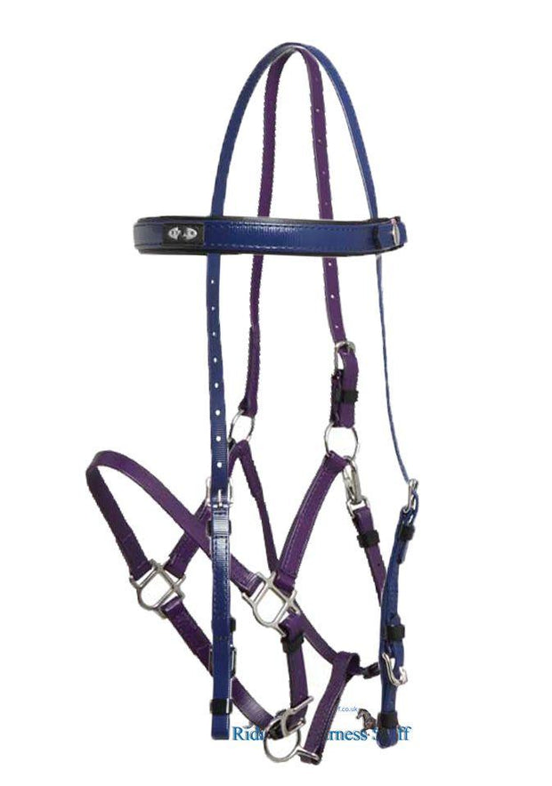 Zilco Dark Blue / Purple Zilco Deluxe Endurance Bridle Complete - Arab