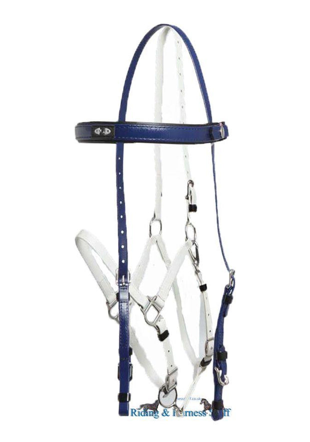 Zilco Dark Blue / White Zilco Deluxe Endurance Bridle Complete - Arab