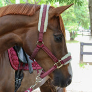 Zilco Saddlecloth Dazzle Equestrian Halter