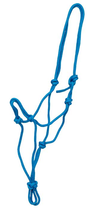 Zilco Headcollar Large / Blue Knotted Halter