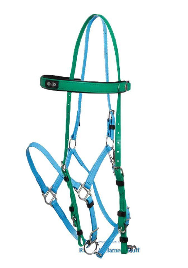 Zilco Light Green / Cyan Zilco Deluxe Endurance Bridle Complete - Arab