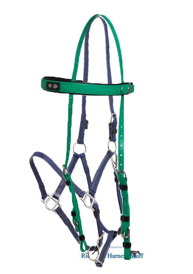 Zilco Light Green / Dark Blue Zilco Deluxe Endurance Bridle Complete - Arab