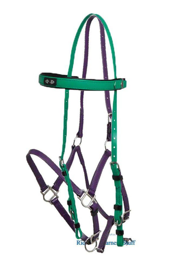 Zilco Light Green / Purple Zilco Deluxe Endurance Bridle Complete - Arab