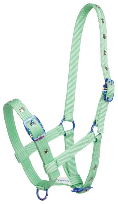 Zilco Headcollar Lime Foal Halter (Fancy Buckle)