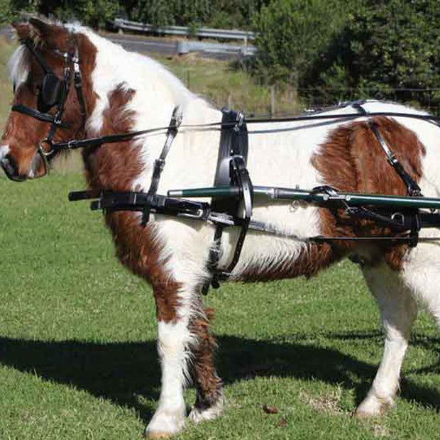 Zilco Driving Harness Mini Zilco SL Harness Single Mini, Shetland and Small Pony - Fixed Backband