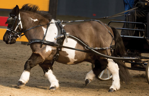 Zilco Driving Harness Mini Zilco SL Harness Single Mini, Shetland and Small Pony - Sliding Backband