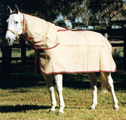 Zilco Natural Jute Combo Rug