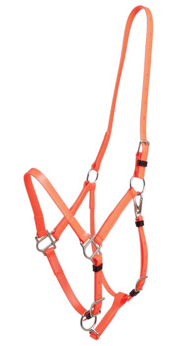 Zilco Bridle Orange Zilco Deluxe Endurance Bridle 2 Part Stainless Steel Fitting - Halter Part