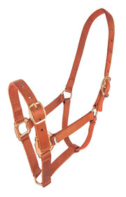 Zilco Headcollar Papaya / Pony Zilco Estate Headcollar