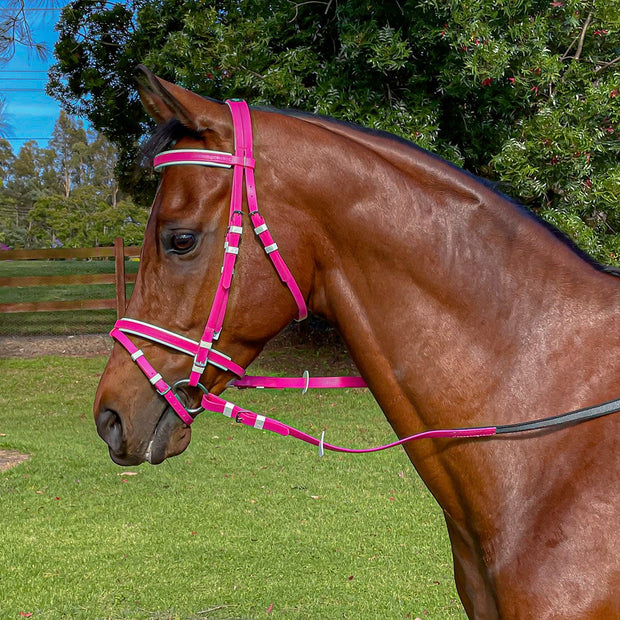 Zilco Bridle Pink/White / Pony Zilco Hanoverian Bridle