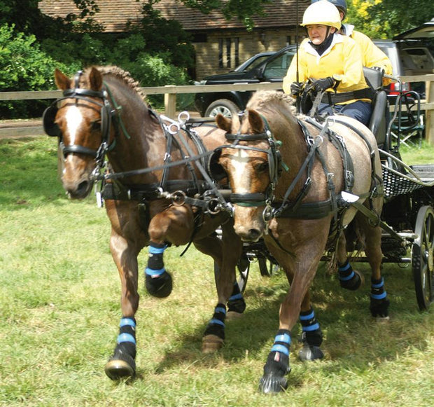 Zilco Driving Harness Pony Zilco Classic Pair Harness