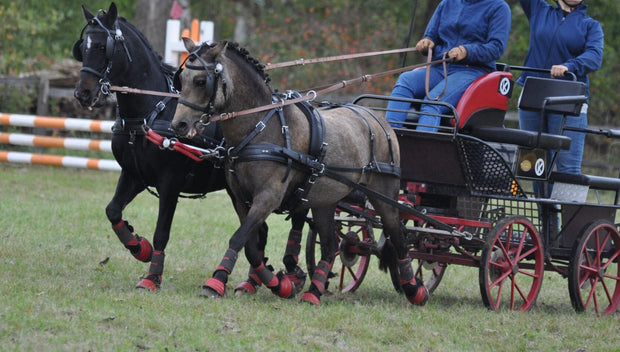 Zilco Driving Harness Pony Zilco Classic Pair Harness