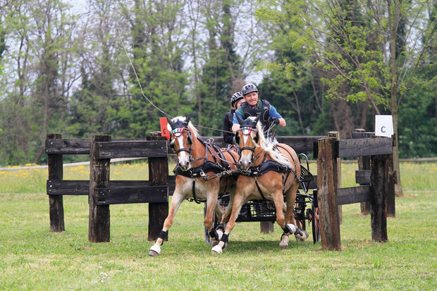 Zilco Driving Harness Pony Zilco Classic Pair Harness with Empathy Breastplates