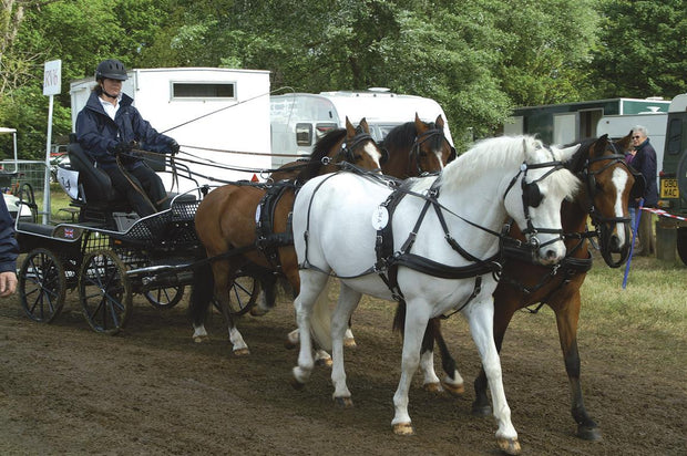 Zilco Driving Harness Pony Zilco Classic Team Harness