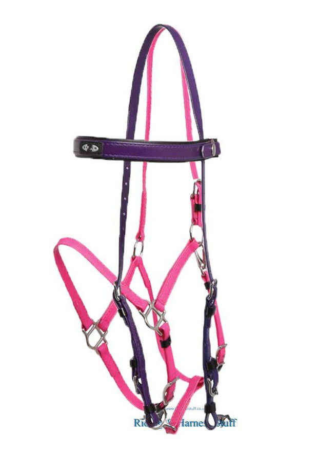 Zilco Purple / Cerise Zilco Deluxe Endurance Bridle Complete - Arab