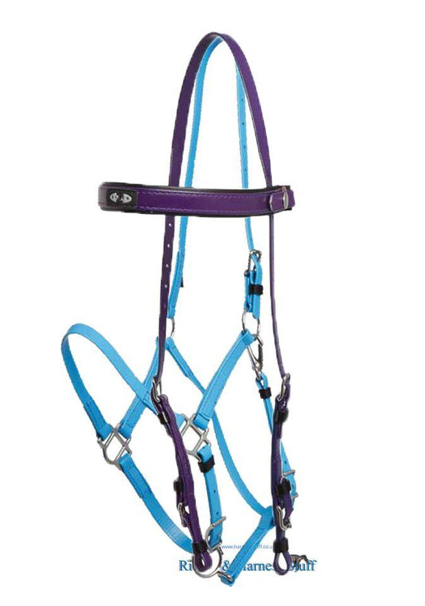 Zilco Purple / Cyan Zilco Deluxe Endurance Bridle Complete - Arab