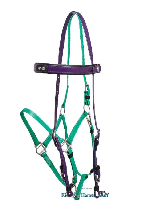 Zilco Purple / Light Green Zilco Deluxe Endurance Bridle Complete - Arab