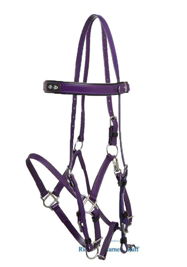 Zilco Purple / Purple Zilco Deluxe Endurance Bridle Complete - Arab