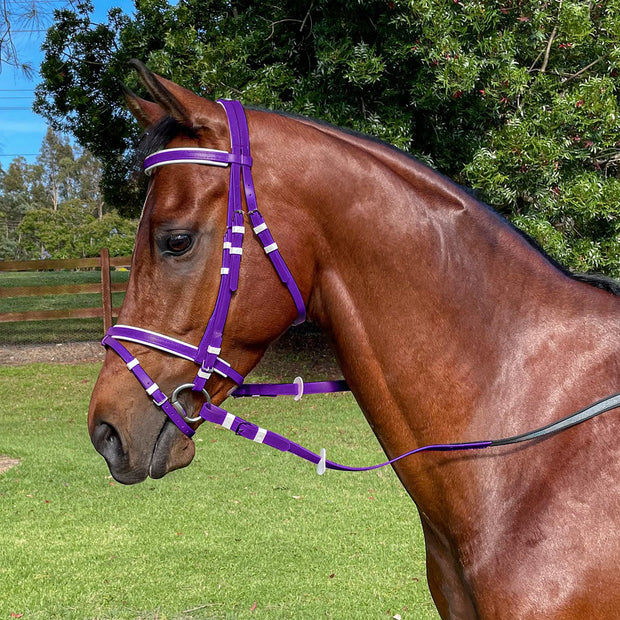 Zilco Bridle Purple/White / Pony Zilco Hanoverian Bridle