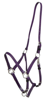Zilco Bridle Purple Zilco Deluxe Endurance Bridle 2 Part Stainless Steel Fitting - Halter Part