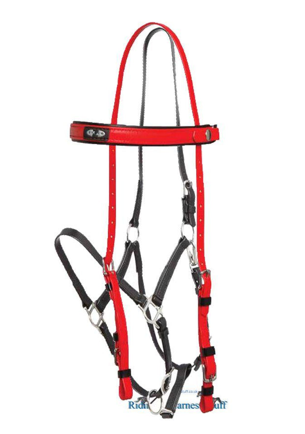 Zilco Red / Black Zilco Deluxe Endurance Bridle Complete - Arab