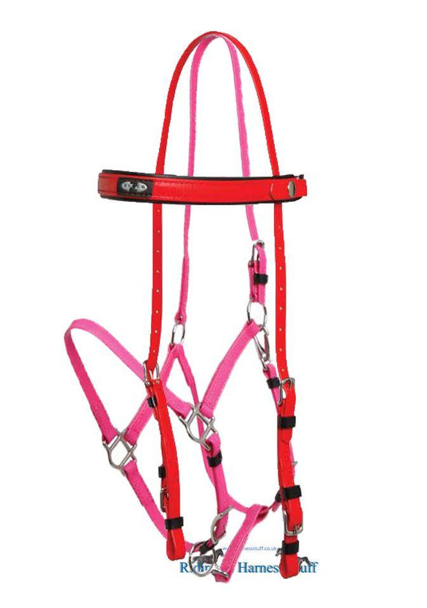 Zilco Red / Cerise Zilco Deluxe Endurance Bridle Complete - Arab