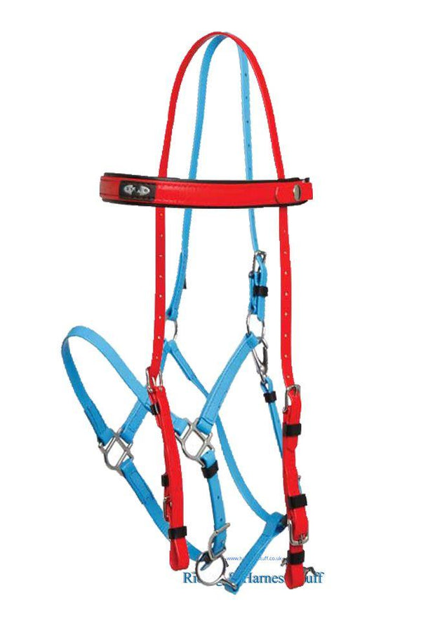 Zilco Red / Cyan Zilco Deluxe Endurance Bridle Complete - Arab