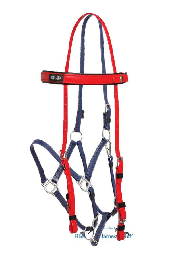 Zilco Red / Dark Blue Zilco Deluxe Endurance Bridle Complete - Arab