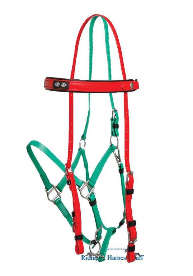 Zilco Red / Light Green Zilco Deluxe Endurance Bridle Complete - Arab